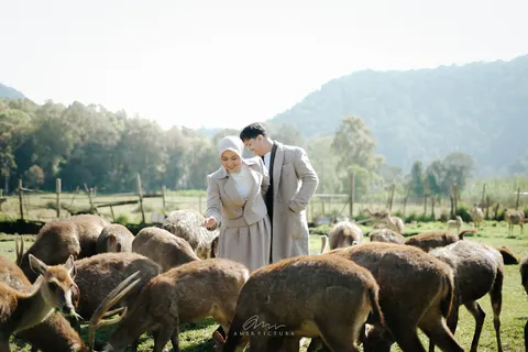 Foto sampul undangan Dewi & Alif